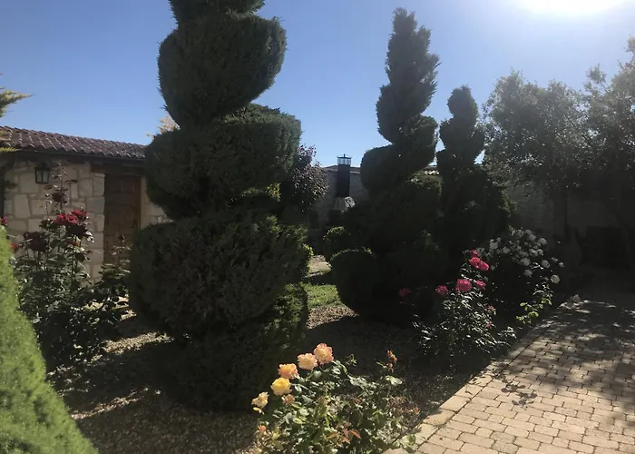 Espigas Canalejas de Peñafiel